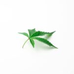 Efectos secundarios de la marihuana