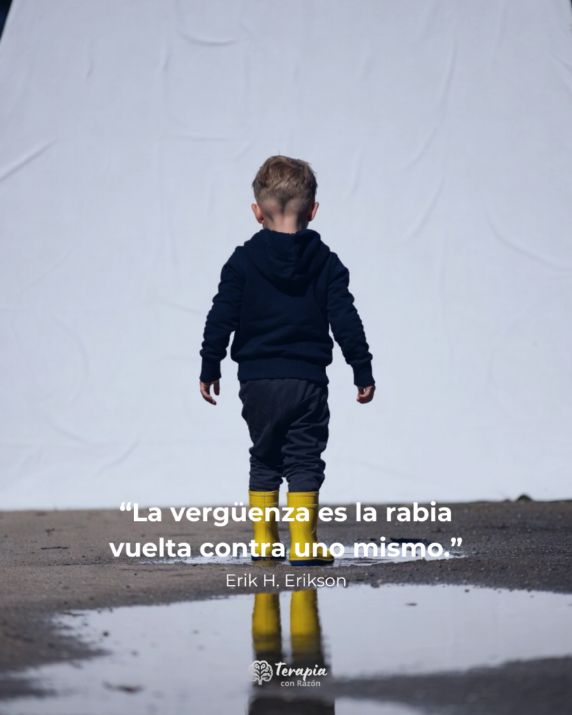 etapas del desarrollo psicosocial