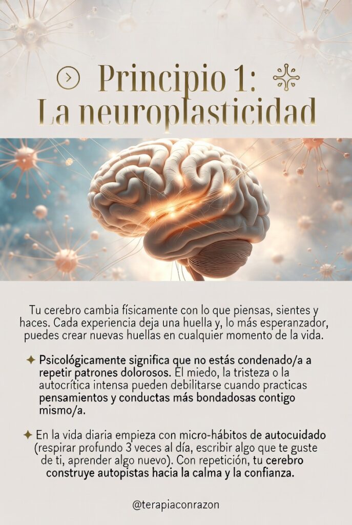 neuroplastocidad