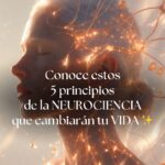 neuroplasticidad