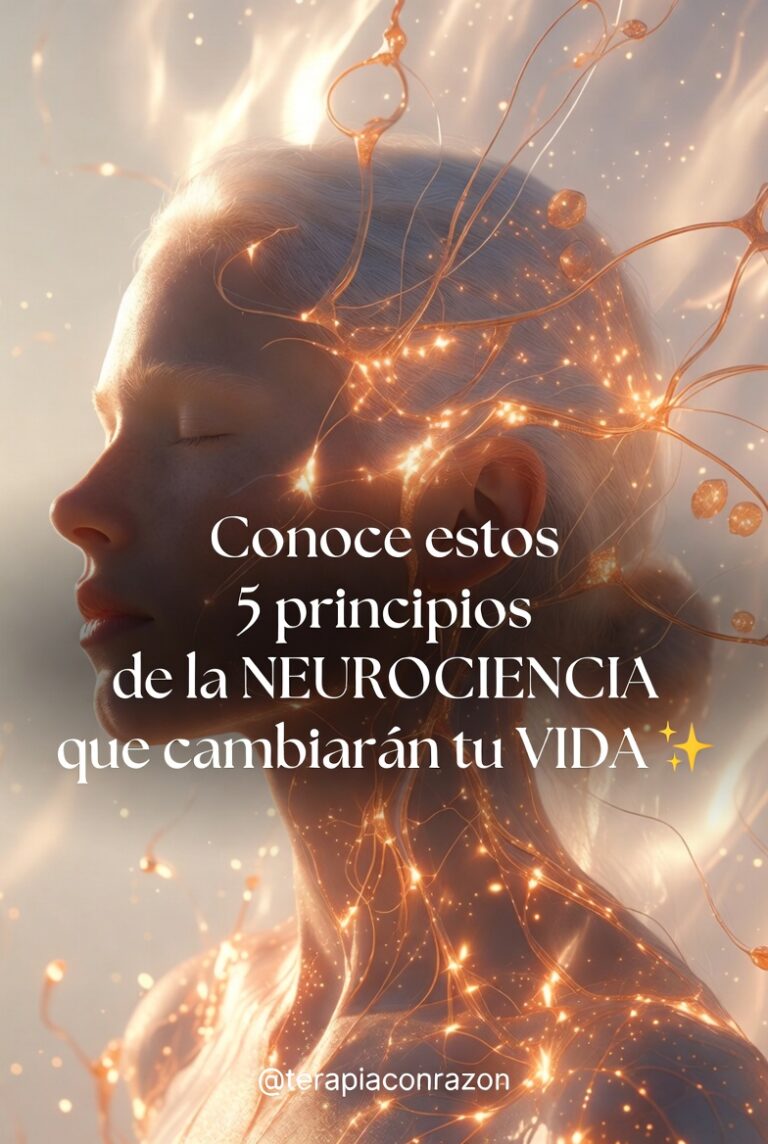 neuroplasticidad